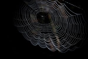 How the Dark Web Negatively Impacts Businesses and How Cyber Security Can Help