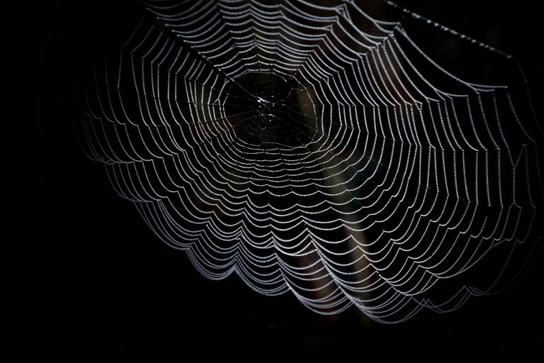 How the Dark Web Negatively Impacts Businesses and How Cyber Security Can Help
