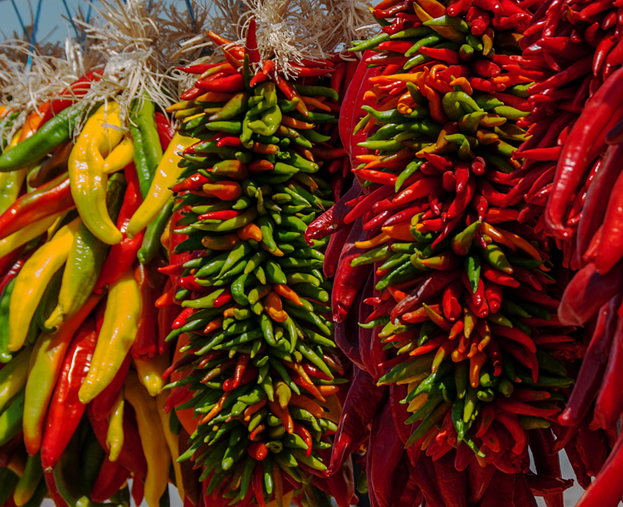 chile farmers and small business owners